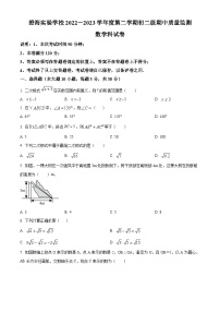 广东省汕头市澄海实验学校2022-2023学年九年级下学期期中数学试题（原卷版+解析版）