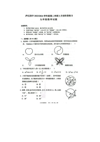 2024年安徽省合肥市庐江县一模数学试卷及答案 -