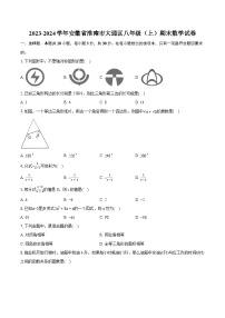 2023-2024学年安徽省淮南市大通区八年级（上）期末数学试卷（含详细答案解析）