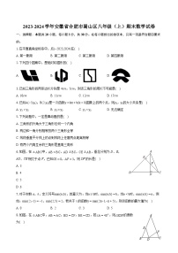 2023-2024学年安徽省合肥市蜀山区八年级（上）期末数学试卷（含详细答案解析）