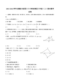 2023-2024学年安徽省合肥四十六中教育集团八年级（上）期末数学试卷（含详细答案解析）