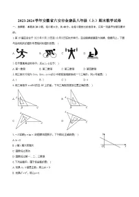 2023-2024学年安徽省六安市金寨县八年级（上）期末数学试卷（含详细答案解析）