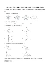 2023-2024学年安徽省合肥市长丰县八年级（上）期末数学试卷（含详细答案解析）