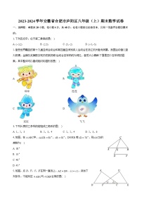 2023-2024学年安徽省合肥市庐阳区八年级（上）期末数学试卷（含详细答案解析）