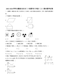 2023-2024学年安徽省安庆市二十校联考八年级（上）期末数学试卷（含详细答案解析）