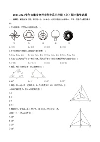 2023-2024学年安徽省亳州市利辛县八年级（上）期末数学试卷（含详细答案解析）