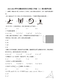 2023-2024学年安徽省阜阳市太和县八年级（上）期末数学试卷（含详细答案解析）