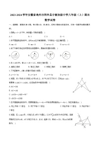 2023-2024学年安徽省亳州市利辛县宇航初级中学八年级（上）期末数学试卷（含详细答案解析）