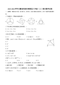 2023-2024学年安徽省芜湖市南陵县八年级（上）期末数学试卷（含详细答案解析）