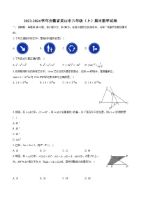 2023-2024学年安徽省黄山市八年级（上）期末数学试卷（含详细答案解析）