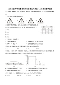 2023-2024学年安徽省阜阳市临泉县八年级（上）期末数学试卷（含详细答案解析）