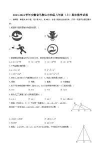 2023-2024学年安徽省马鞍山市和县八年级（上）期末数学试卷（含详细答案解析）