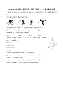 2023-2024学年浙江省杭州市上城区八年级（上）期末数学试卷（含详细答案解析）