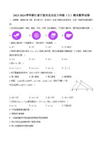 2023-2024学年浙江省宁波市北仑区八年级（上）期末数学试卷（含详细答案解析）