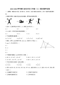 2023-2024学年浙江省台州市八年级（上）期末数学试卷（含详细答案解析）