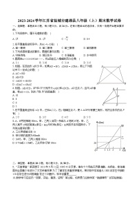 2023-2024学年江苏省盐城市建湖县八年级（上）期末数学试卷（含详细答案解析）