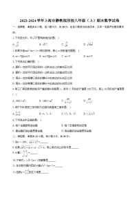 2023-2024学年上海市静教院附校八年级（上）期末数学试卷（含详细答案解析）