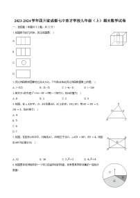 四川省成都市七中育才学校2023—2024学年九年级上学期期末数学试卷+