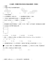 人教版2023-2024学年七年级数学上册《考点•题型•技巧》精讲与精练高分突破 七年级第一学期数学期末考试高分突破必刷密卷（培优版）