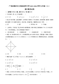 广东省梅州市大埔县西河中学2023-2024学年九年级上学期期中数学试题（原卷版+解析版）