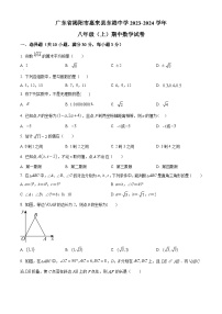 广东省揭阳市惠来县东港中学2023-2024学年八年级上学期期中数学试题（原卷版+解析版）