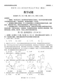 2024年山东菏泽九年级数学中考模拟试题+答案