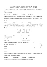 2024年河南省驻马店市平舆县中考数学一模试卷（含解析）