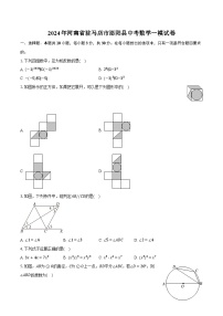 2024年河南省驻马店市泌阳县中考数学一模试卷（含解析）