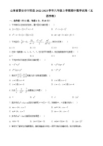 山东省泰安市宁阳县2022-2023学年八年级上学期期中数学试题（原卷版+解析版）