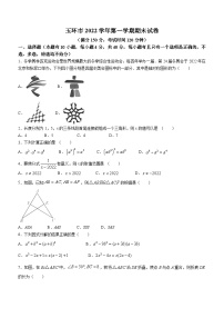 浙江省台州市玉环市2022-2023学年八年级上学期期末数学试题