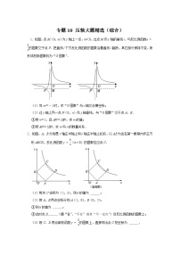 专题10 压轴大题精选（综合）-2023-2024学年八年级数学下学期期末复习培优拔高（苏科版）