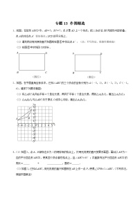 专题13 作图精选-2023-2024学年八年级数学下学期期末复习培优拔高（苏科版）