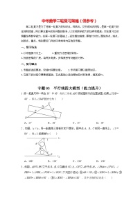 备战中考数学《重难点解读•专项训练》专题03 平行线四大模型（能力提升）