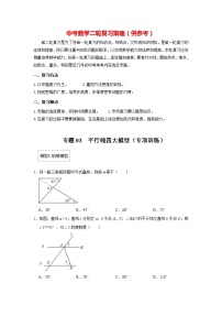 备战中考数学《重难点解读•专项训练》专题03 平行线四大模型（专项训练）