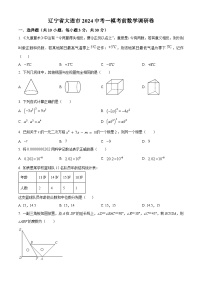 2024辽宁省大连市中考一模考前数学调研题（原卷版+解析版）