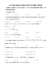 2023年浙江省杭州市西湖区丰潭中学中考数学二模模拟试题（原卷版+解析版）