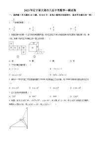 2023年辽宁省大连市八区中考数学一模模拟试题（原卷版+解析版）