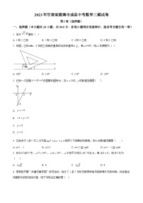 2023年甘肃省陇南市成县中考数学三模模拟试题（原卷版+解析版）