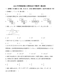 2023年河南省商丘市夏邑县中考数学二模模拟试题（原卷版+解析版）