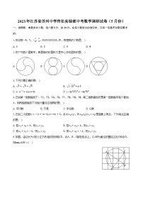 2023年江苏省苏州中学伟长实验部中考数学调研试卷（5月份）（含解析）