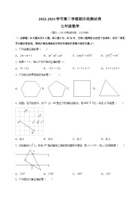 扬州市宝应县2022-2023学年七年级下学期数学期末试卷（含答案解析）