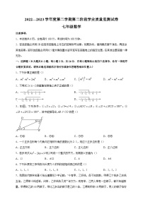 南京市秦淮区2022-2023学年七年级下学期数学期末试卷（含答案解析）