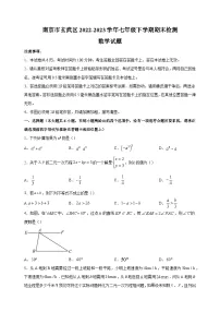 南京市玄武区2022-2023学年七年级下学期数学期末试卷（含答案解析）