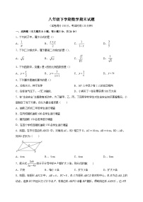 宿迁市泗洪县2022-2023学年八年级下学期数学期末试卷（含答案解析）