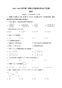 宿迁市泗阳县2022-2023学年七年级下学期数学期末试卷（含答案解析）