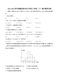 2023-2024学年福建省泉州市丰泽区八年级（上）期末数学试卷(含详细答案解析)