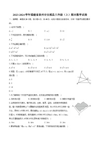 2023-2024学年福建省泉州市安溪县八年级（上）期末数学试卷(含详细答案解析)