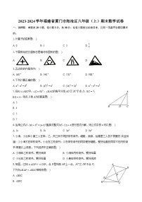 2023-2024学年福建省厦门市海沧区八年级（上）期末数学试卷(含详细答案解析)