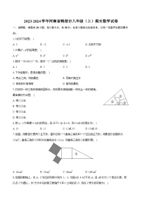 2023-2024学年河南省鹤壁市八年级（上）期末数学试卷(含详细答案解析)