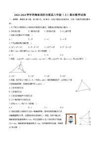 2023-2024学年河南省洛阳市嵩县八年级（上）期末数学试卷(含详细答案解析)